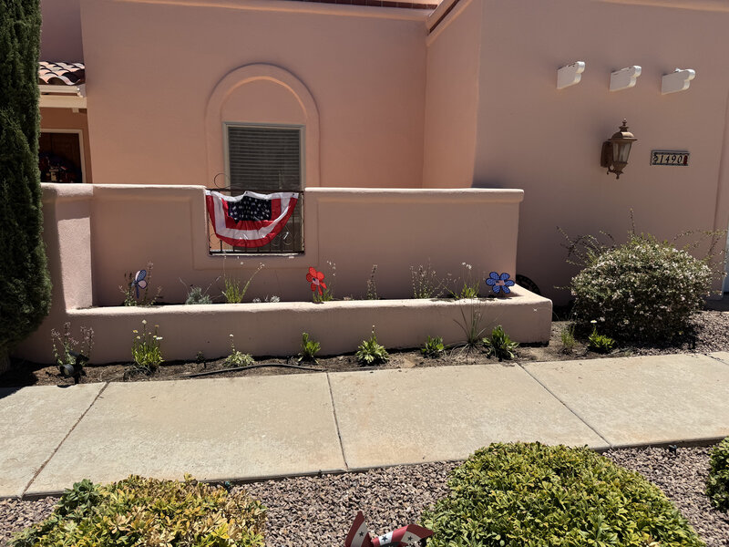 New desert-adapted plantings in an adobe front yard planter in Las Cruces