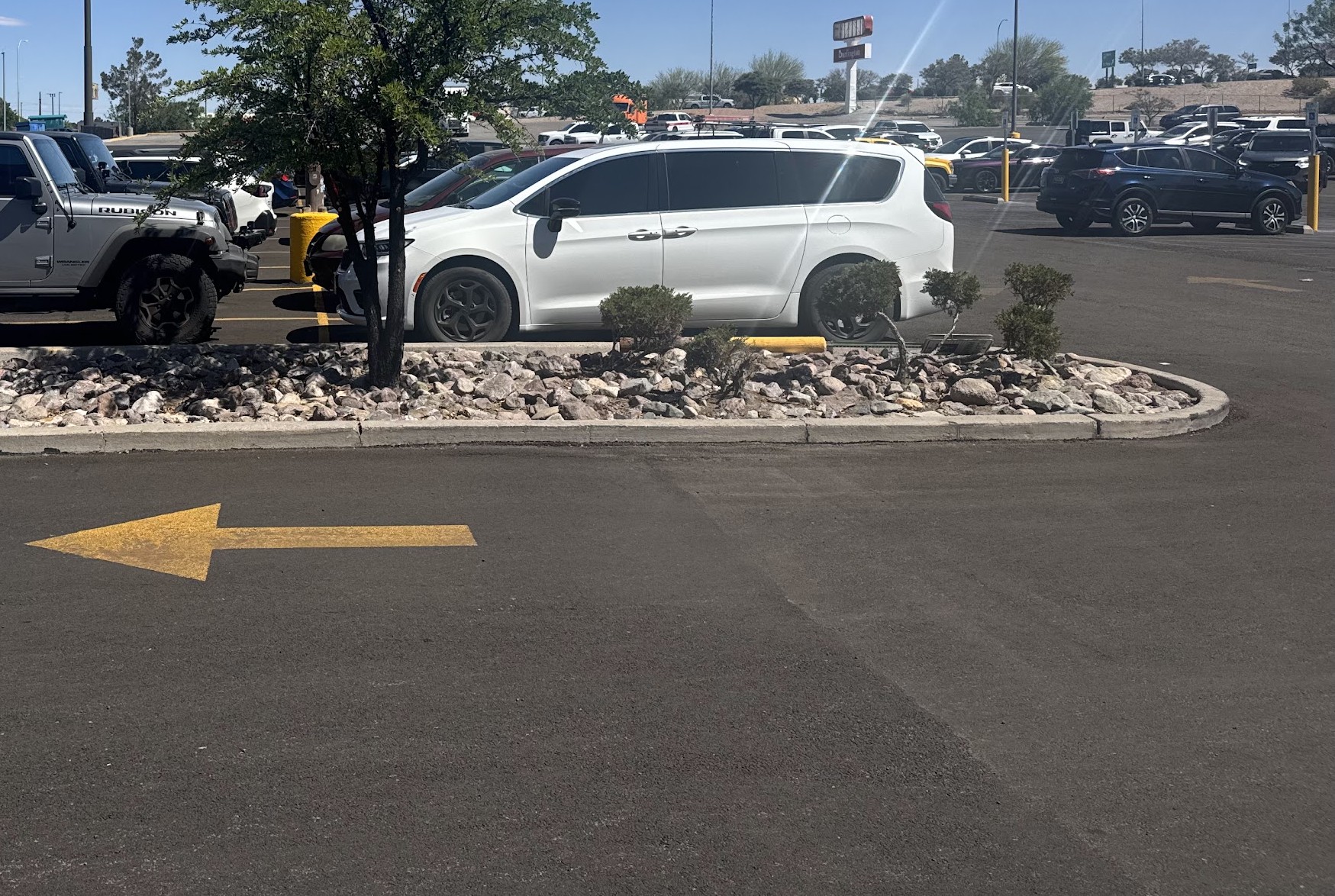 Before: commercial curb island with overgrown shrubs and worn rock