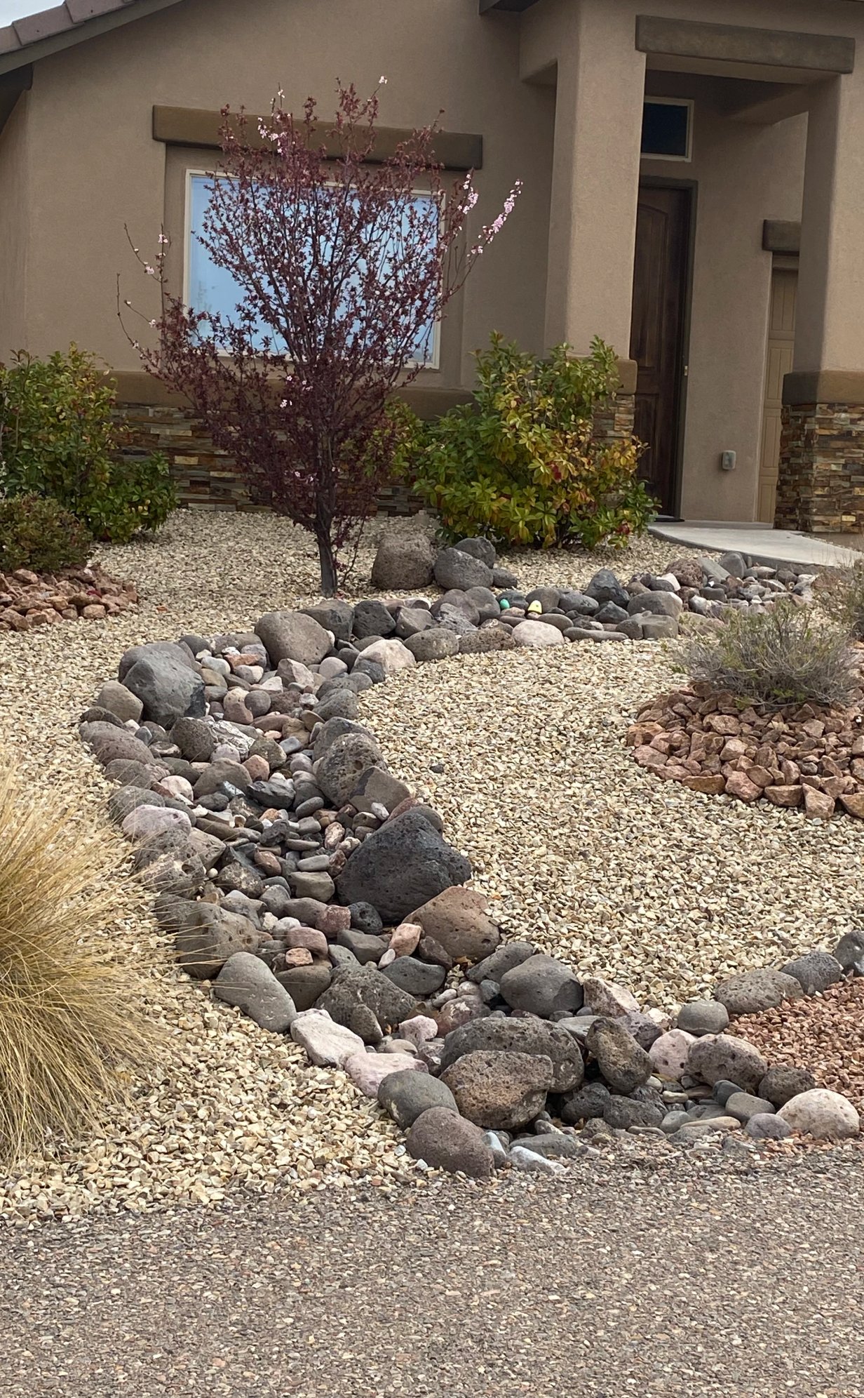 Mature xeriscape conversion with native plants and drip irrigation in Las Cruces