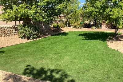 Large artificial turf lawn shaded by mature trees with gravel border beds