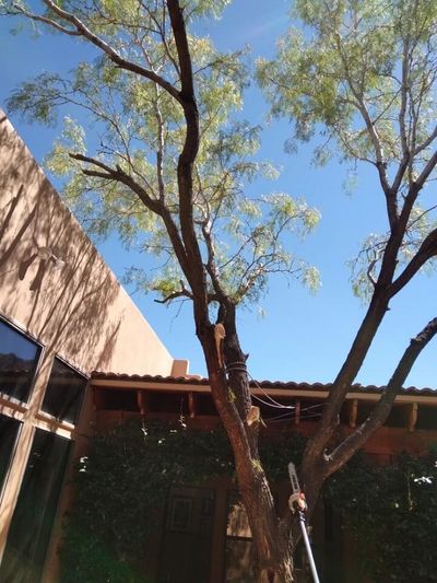 Flagstone entry patio with a climbing vine on a wood support post at a southwestern home