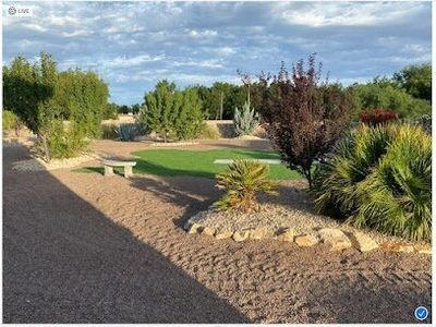 Mature estate landscape with artificial turf, stone bench, palms, and desert-adapted trees