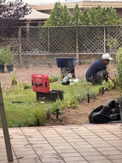 Crew member planting shrubs and perennials in a residential garden bed