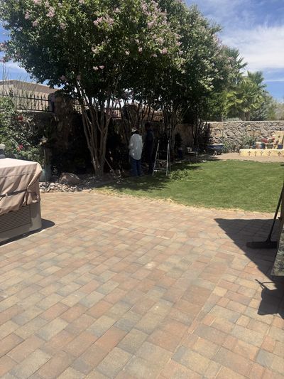 Brainard's crew installing brick pavers in a backyard with crape myrtle trees and stone wall