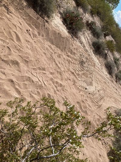 Freshly graded sandy channel bed during excavation for a drainage project in Las Cruces