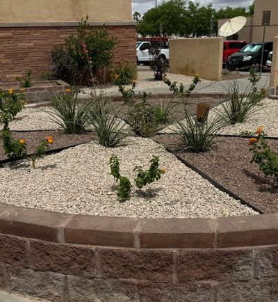 Custom raised garden beds with mixed plantings