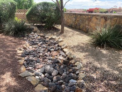 Mature Backyard Xeriscape
