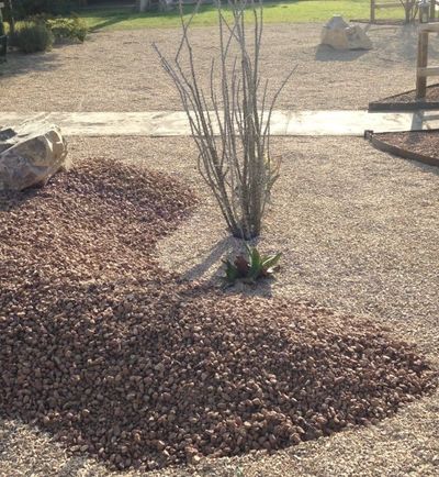 Layered gravel xeriscape with ocotillo and accent boulder along a wood-rail fence
